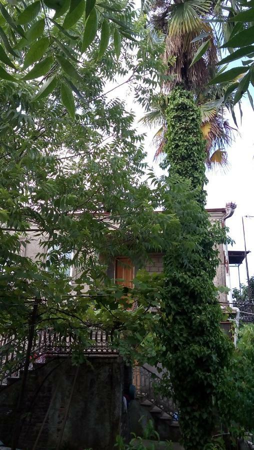 Elco Hotel Sugdidi Eksteriør billede